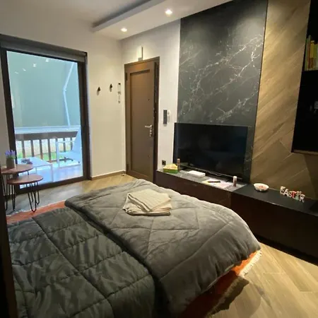 Luxury Apartment